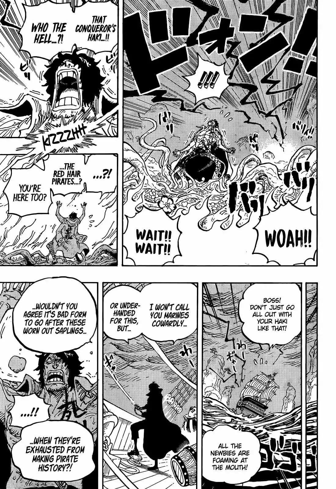 One Piece Chapter 1055 17